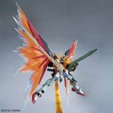 MG 1/100 Destiny Gundam - Heine Westenfluss Custom