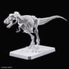 PLANNOSAURUS Tyrannosaurus Painting Ver.