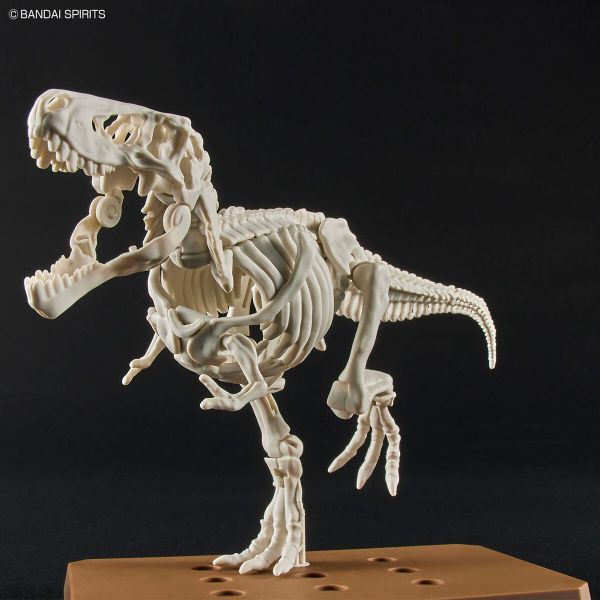 [Pre-order] - Trả hàng 2024 tháng 05 - PLANNOSAURUS Tyrannosaurus - Giá Order: 255k