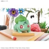 Pokemon PLAMO / Pokepla COLLECTION QUICK 13 Bulbasaur