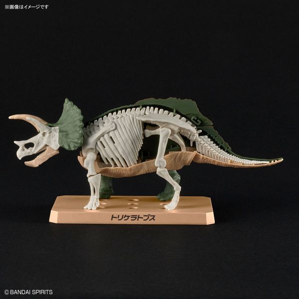 [Pre-order] - Trả hàng 2024 tháng 05 - PLANNOSAURUS Triceratops - Giá Order: 285k