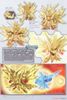 SDW Heroes Superior Strike F Dragon