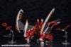 Kotobukiya - HEXA GEAR - 1/24 Agnirage
