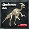 [Pre-order] - Trả hàng 2024 tháng 08 - Plannosaurus Parasaurolophus - 275k