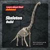 [Pre-order / Đặt trước] PLANNOSAURUS Brachiosaurus
