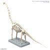 [Pre-order / Đặt trước] PLANNOSAURUS Brachiosaurus