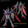 HGCE 1/144 Destiny Gundam Spec 2 & Zeus Sillouette