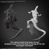 [Pre-order / Đặt trước] Godzilla x Kong: The New Empire - GODZILLA 2024
