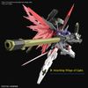 HGCE 1/144 Destiny Gundam Spec 2 & Zeus Sillouette