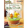 Re-ment - Pokemon - Terrarium Collection - EX Paldea