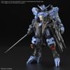 [Pre-order / Đặt trước] MG 1/100 Gundam Vidar