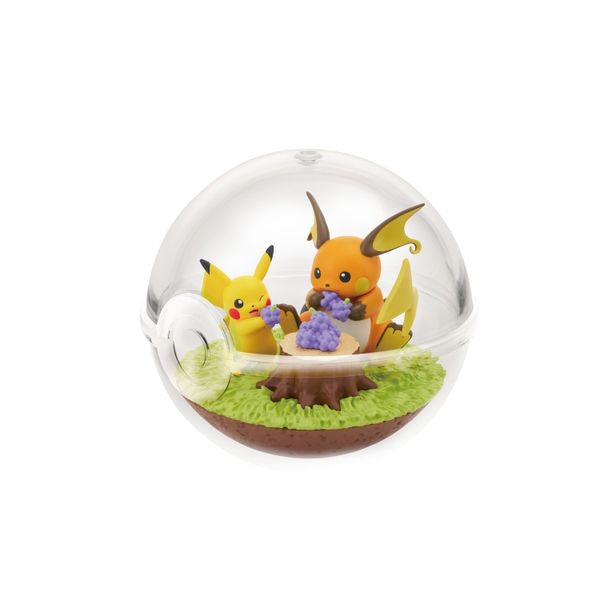Rement - Pokemon - Terrarium Collection 14