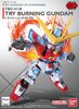 SD GUNDAM EX-STANDARD 011 TRY BURNING GUNDAM