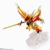 HG RYUSEIMARU
