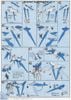 HG BF 1/144 GUNDAM AMAZING EXIA