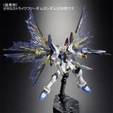RG 1/144 Expansion effect unit for Strike Freedom Gundam - Wings of Sky