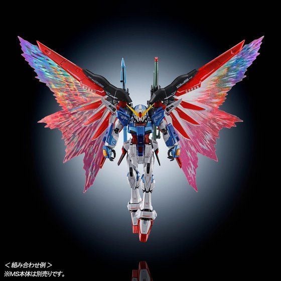 RG 1/144 Expansion effect unit for Destiny Gundam - Wings of Light