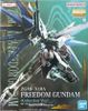 MG Freedom Gundam Ver 2.0 - China Collection Ver