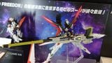 [Pre-order / Đặt trước] HGCE 1/144 Destiny Gundam Spec 2 + Zeus Silhouette