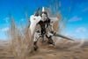 [Pre-order / Đặt trước] MODEROID - Broken Blade - Delphine Second Form
