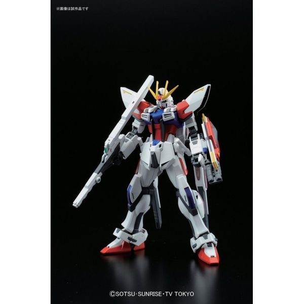 HG BF 1/144 STAR BUILD STRIKE GUNDAM PLAVSKY WING