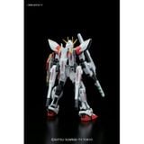 HG BF 1/144 STAR BUILD STRIKE GUNDAM PLAVSKY WING