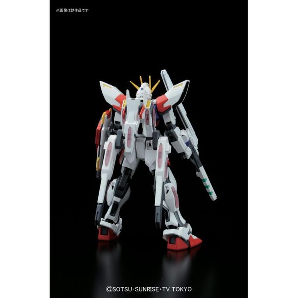 HG BF 1/144 STAR BUILD STRIKE GUNDAM PLAVSKY WING
