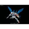 HG BF 1/144 STAR BUILD STRIKE GUNDAM PLAVSKY WING