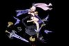 Kotobukiya - Megami Device - Buster Doll Paladin Darkness Claw