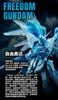 MG 1/100 Freedom Gundam ver 2.0 - Cross Contrast / Clear Blue