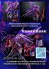 MG 1/100 Wing Gundam Zero EW - Cross Contrast Color / Clear Purple
