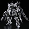 RG 1/144 Strike Freedom Gundam - Deactive Mode (P-Bandai)