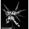 RG 1/144 Strike Freedom Gundam - Deactive Mode (P-Bandai)