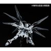 RG 1/144 Strike Freedom Gundam - Deactive Mode (P-Bandai)