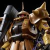 MG 1/100 Zaku High Mobility Type - Masaya Nakagawa Custom (P-Bandai)