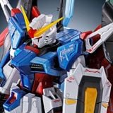 RG 1/144 Destiny Gundam Titanium Finish