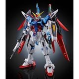 RG 1/144 Destiny Gundam Titanium Finish