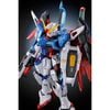 RG 1/144 Destiny Gundam Titanium Finish