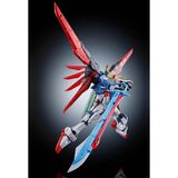 RG 1/144 Destiny Gundam Titanium Finish