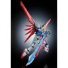 RG 1/144 Destiny Gundam Titanium Finish