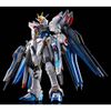RG 1/144 Strike Freedom Gundam - Titanium Finish