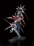 RG HG 1/144 MOBILE SUIT GUNDAM SEED 20th Anniversary MS SET - METALLIC