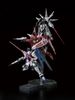 RG HG 1/144 MOBILE SUIT GUNDAM SEED 20th Anniversary MS SET - METALLIC