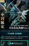 MG Freedom Gundam Ver 2.0 - China Collection Ver