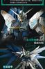MG Freedom Gundam Ver 2.0 - China Collection Ver