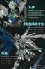 MG Freedom Gundam Ver 2.0 - China Collection Ver