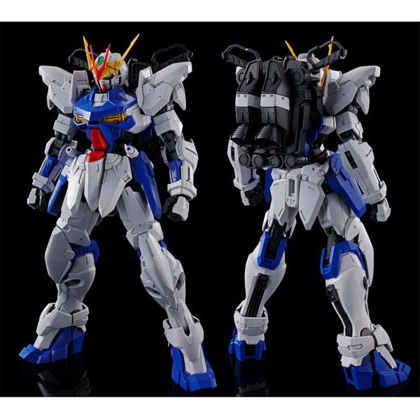 MG 1/100 Astray Out Frame D