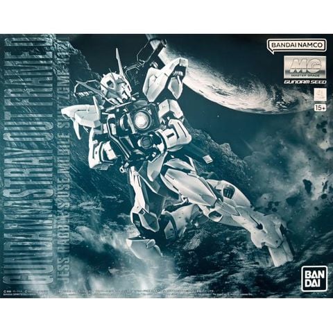 MG 1/100 Astray Out Frame D