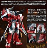 MG 1/100 Ginn Gladiator