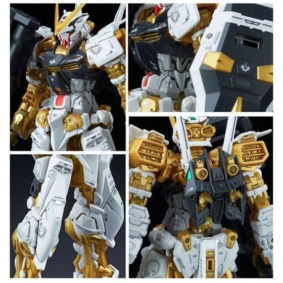RG 1/144 Gundam Astray Gold Frame